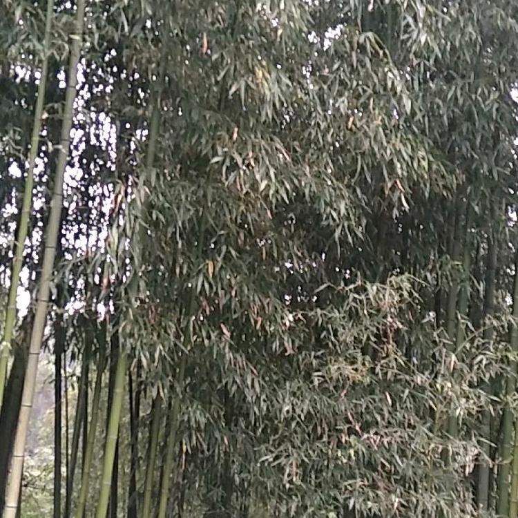用户3288197563337明天会更好