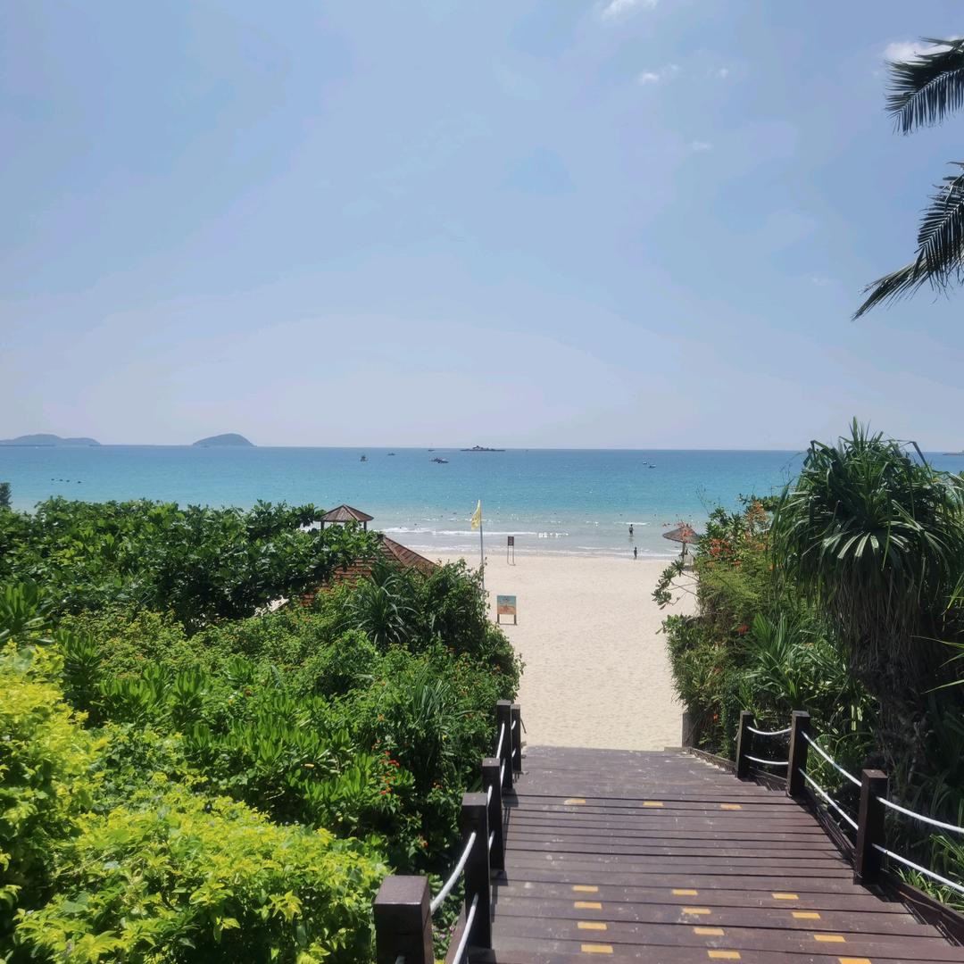 浑水摸鱼