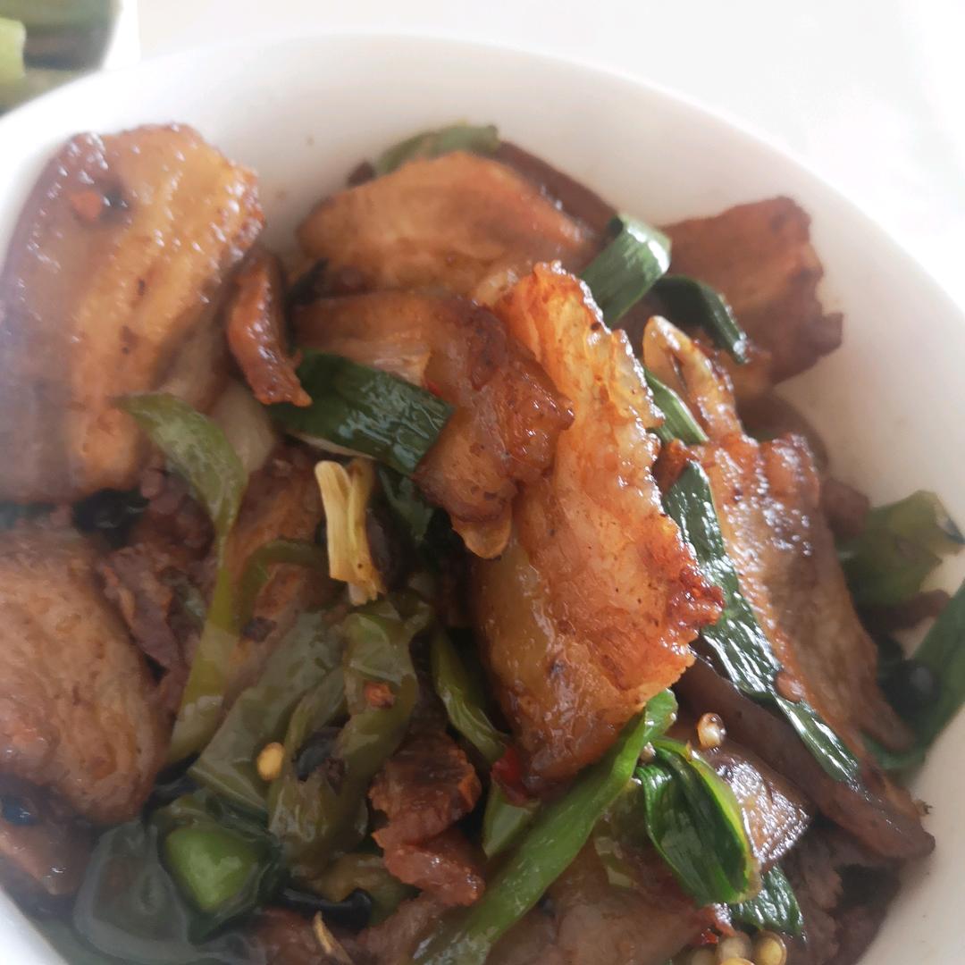 马齿苋