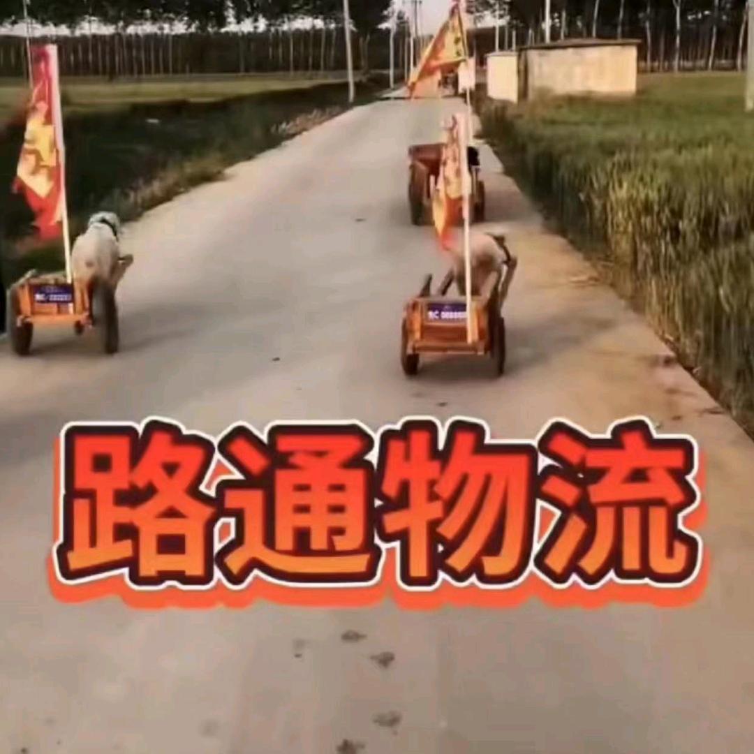 英雄农村孩儿