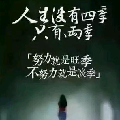 影视剪辑 各种视频模板制作《收徒》