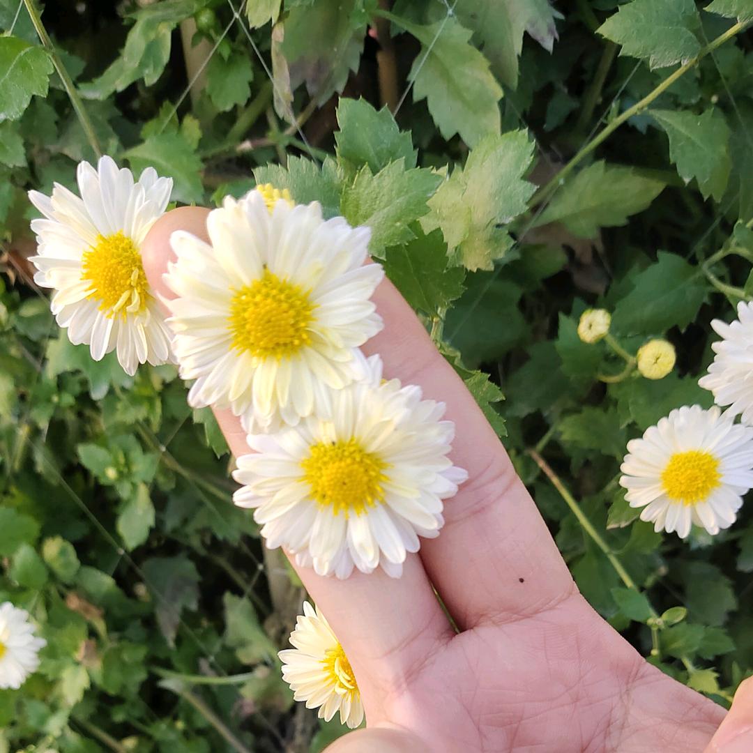 @💞小兰兰💞