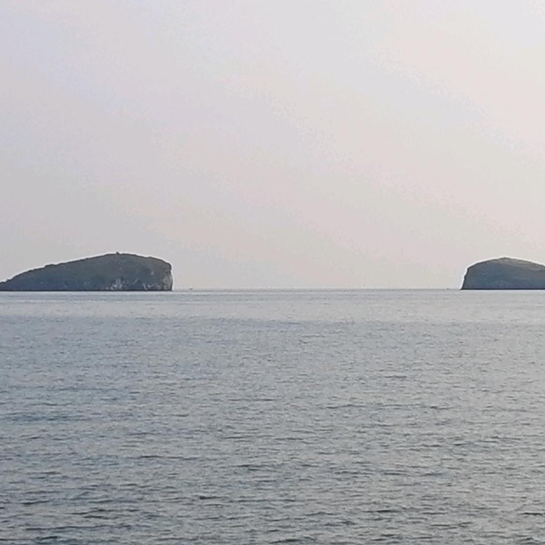 缘分（承蒙厚爱）