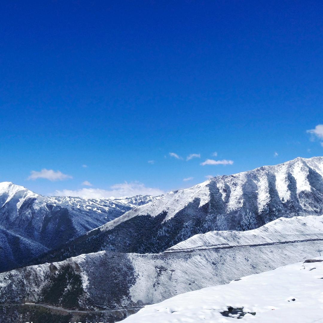 香山红叶