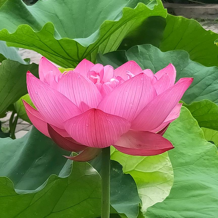 70后的老男孩