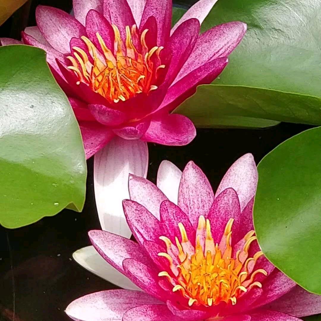 :一切随缘