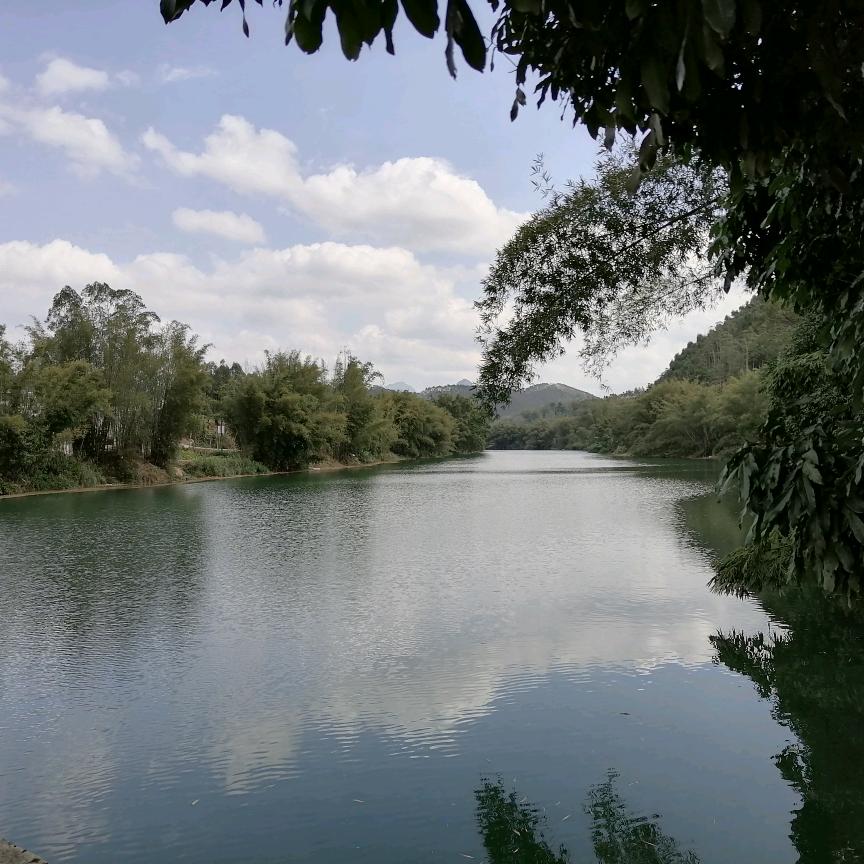 我的人生我作主