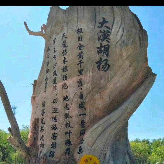 这辈子谁也别靠