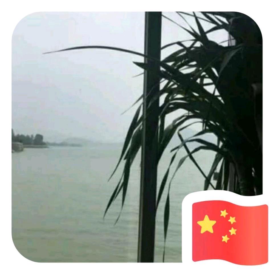 冬闯园艺&