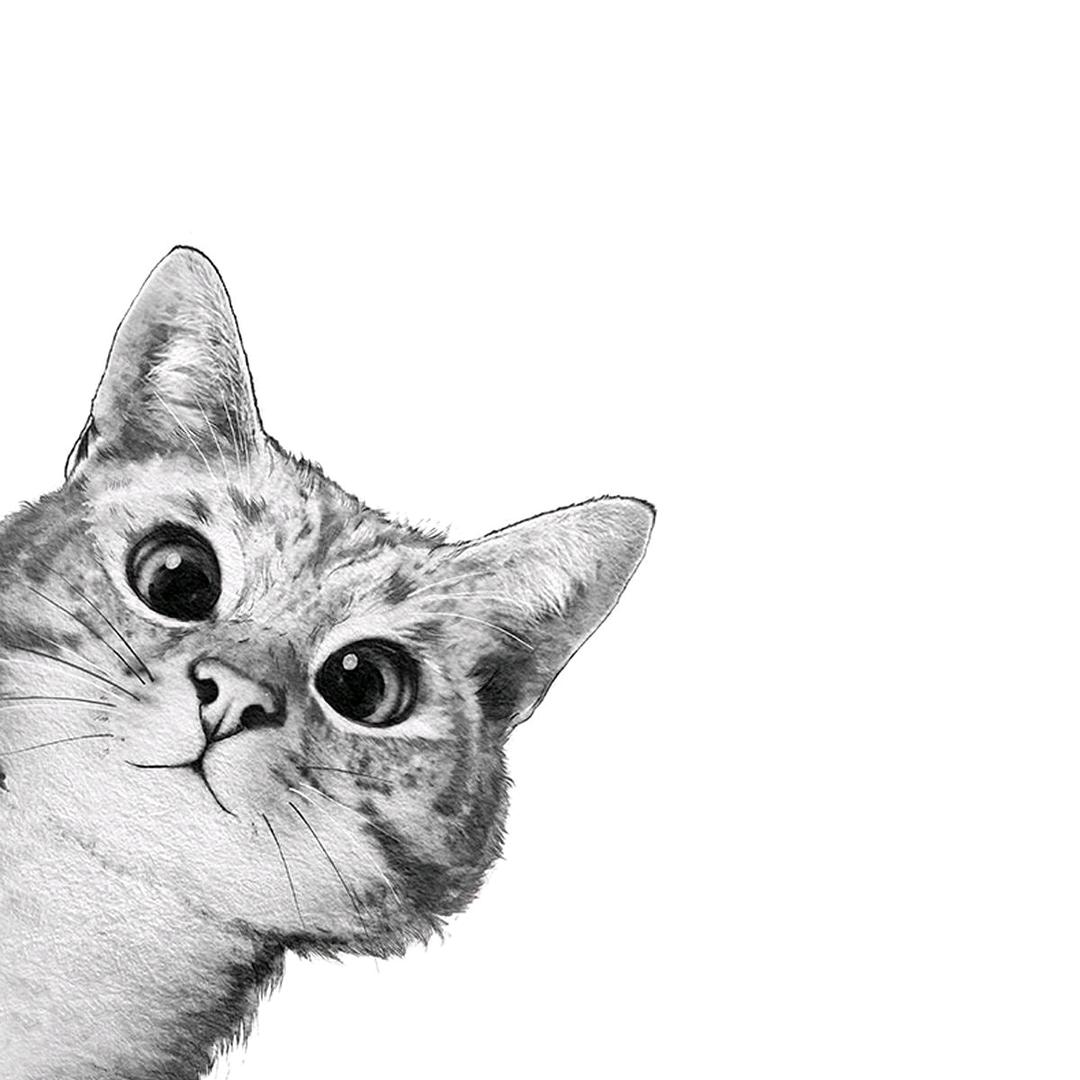 从Mary到Sunny和Ivory