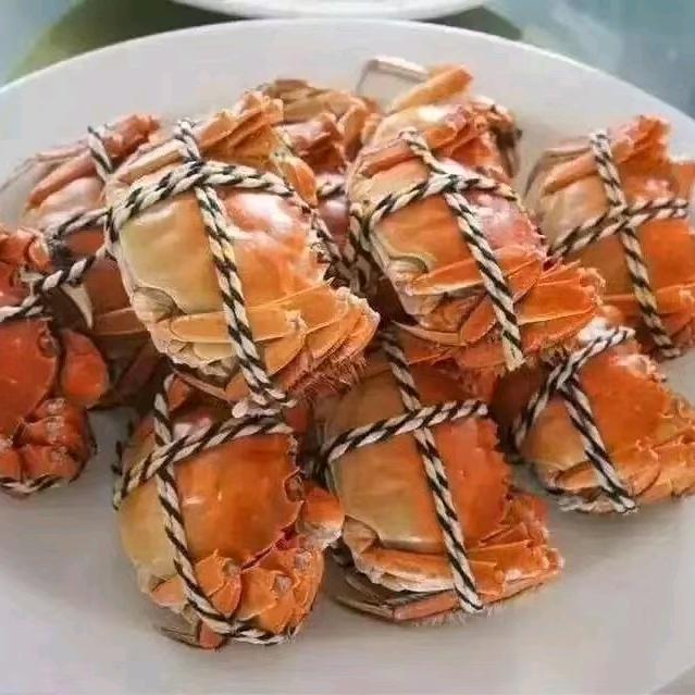 精品大闸蟹专卖