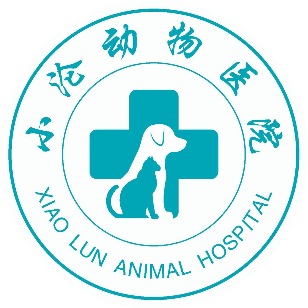 小沦动诊