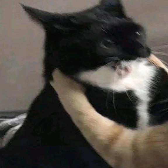 粥粥( ･⊝･∞)