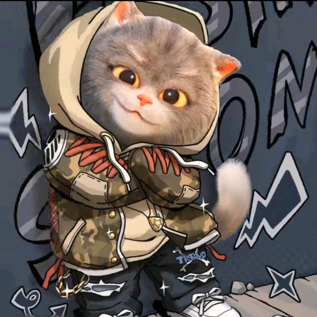 港口的猫