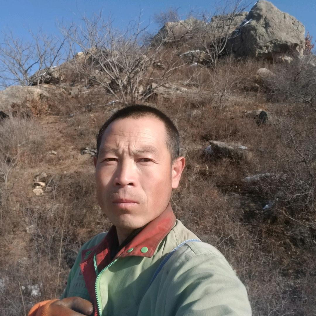 荒野求生
