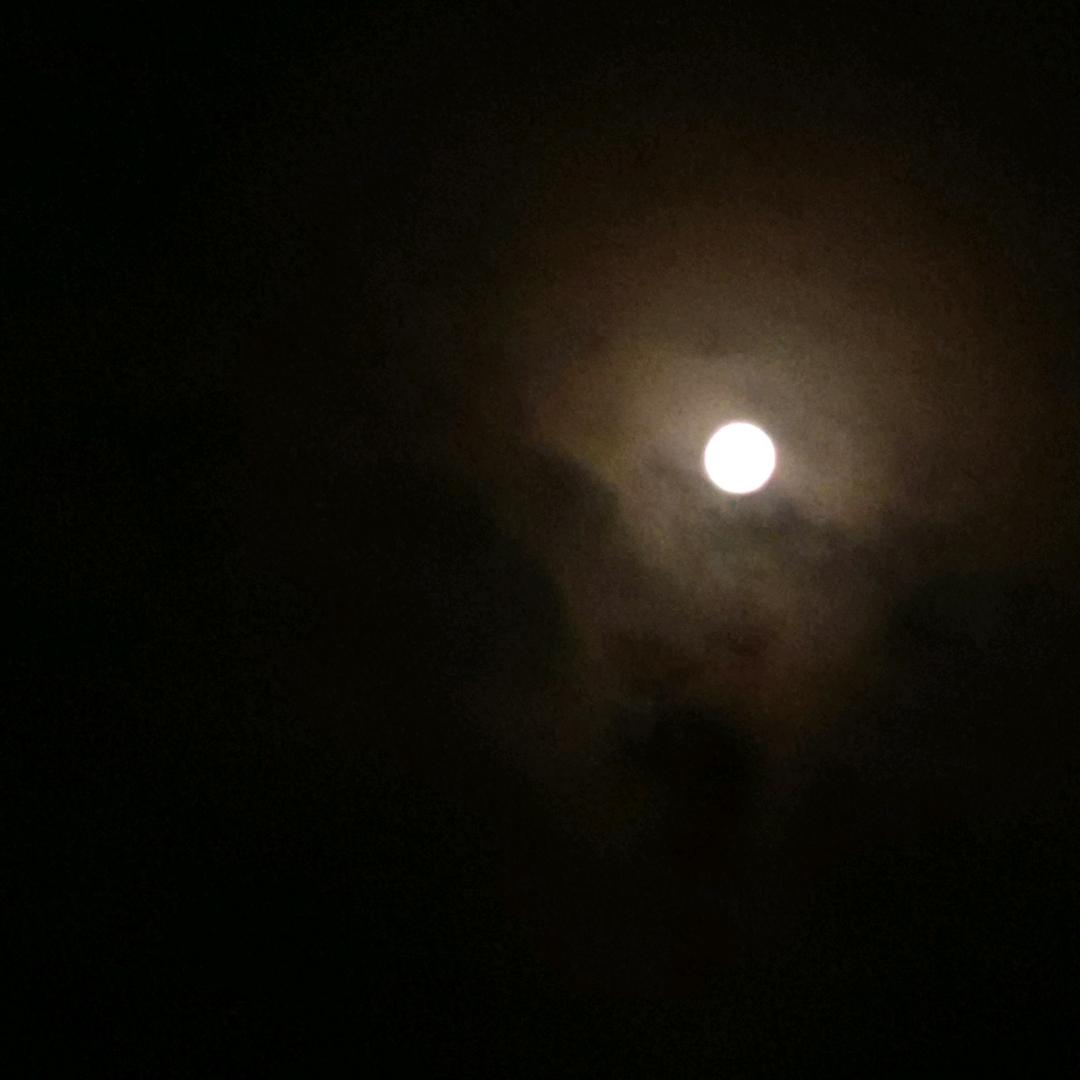 物物相连