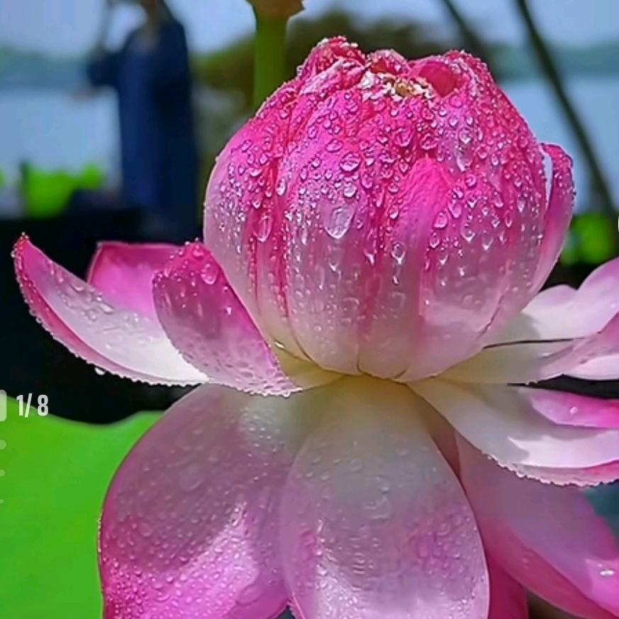 修禅
