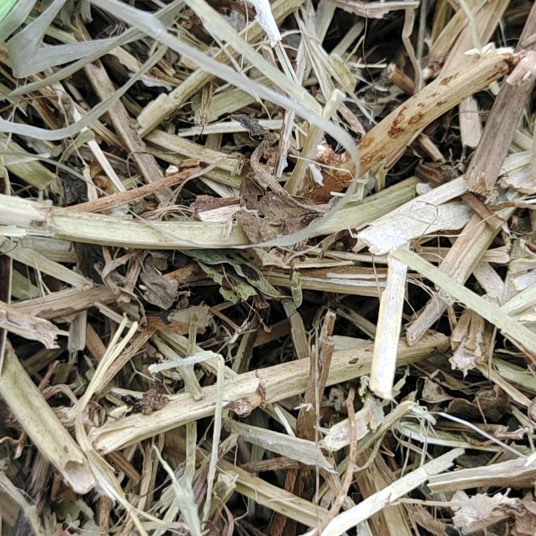 正阳县刘小芳秸秆利用加工部