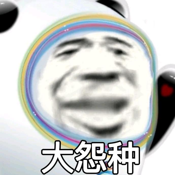 🌈唐没虎