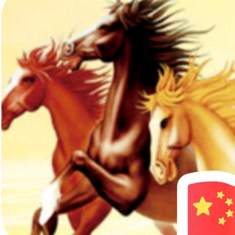 szqzyl～因你而精彩👍孤跑者