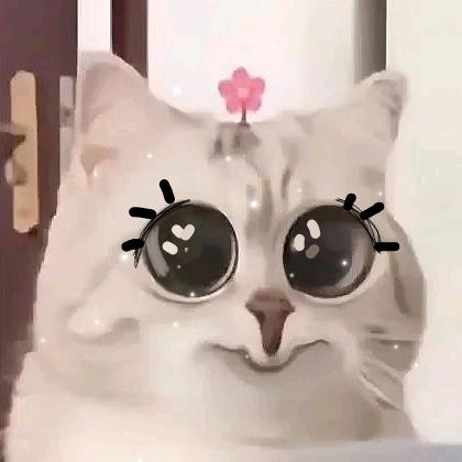 一见你就笑٩(๑^o^๑)۶