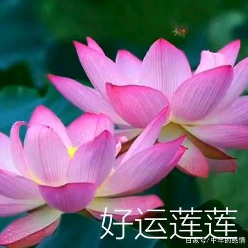 -美好回忆-(拒绝私聊)