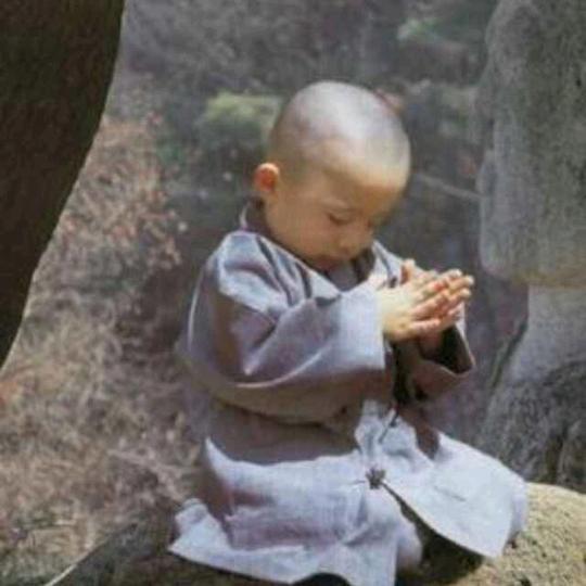 哈士奇