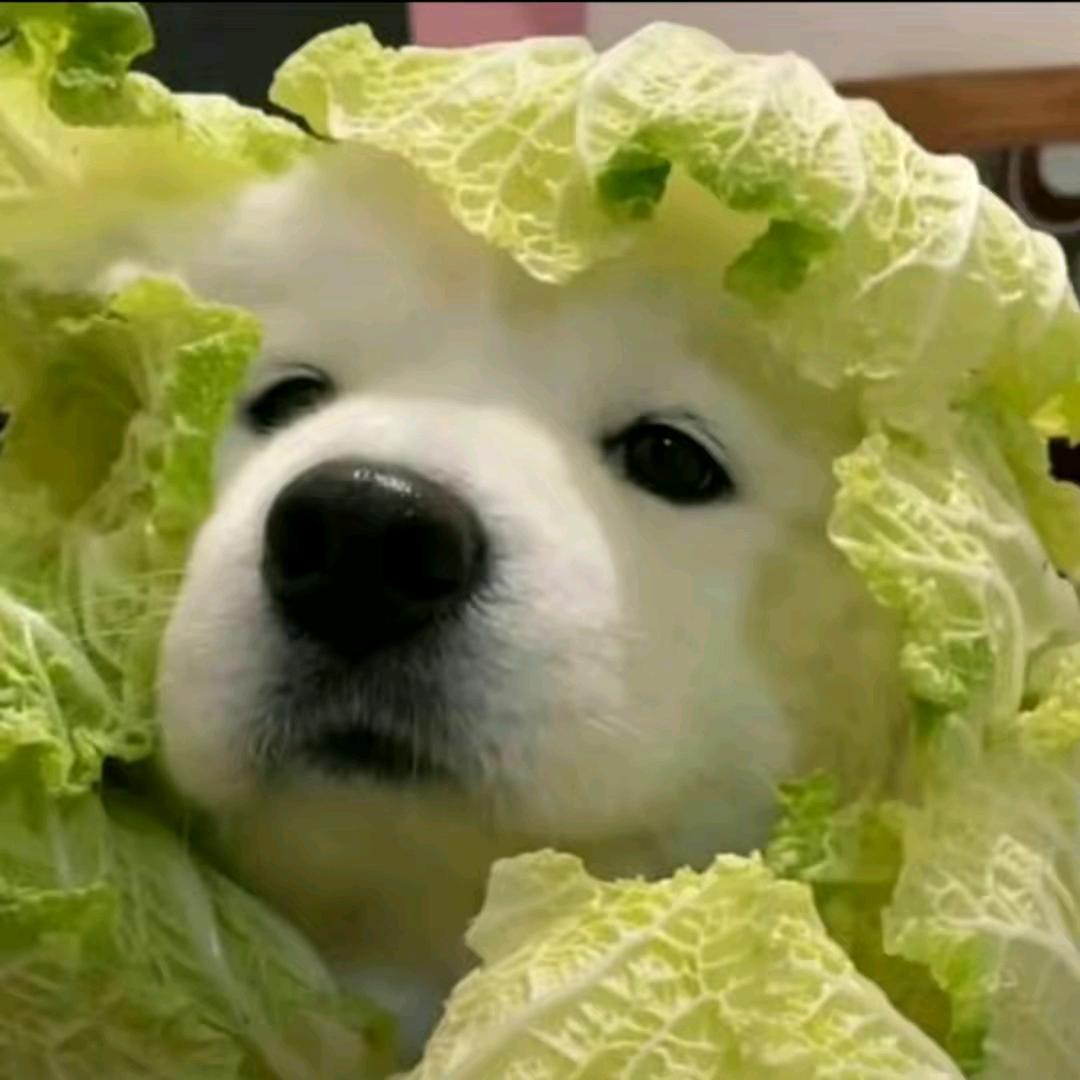 读白