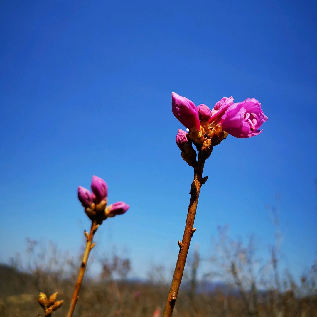 来自幼稚园星球