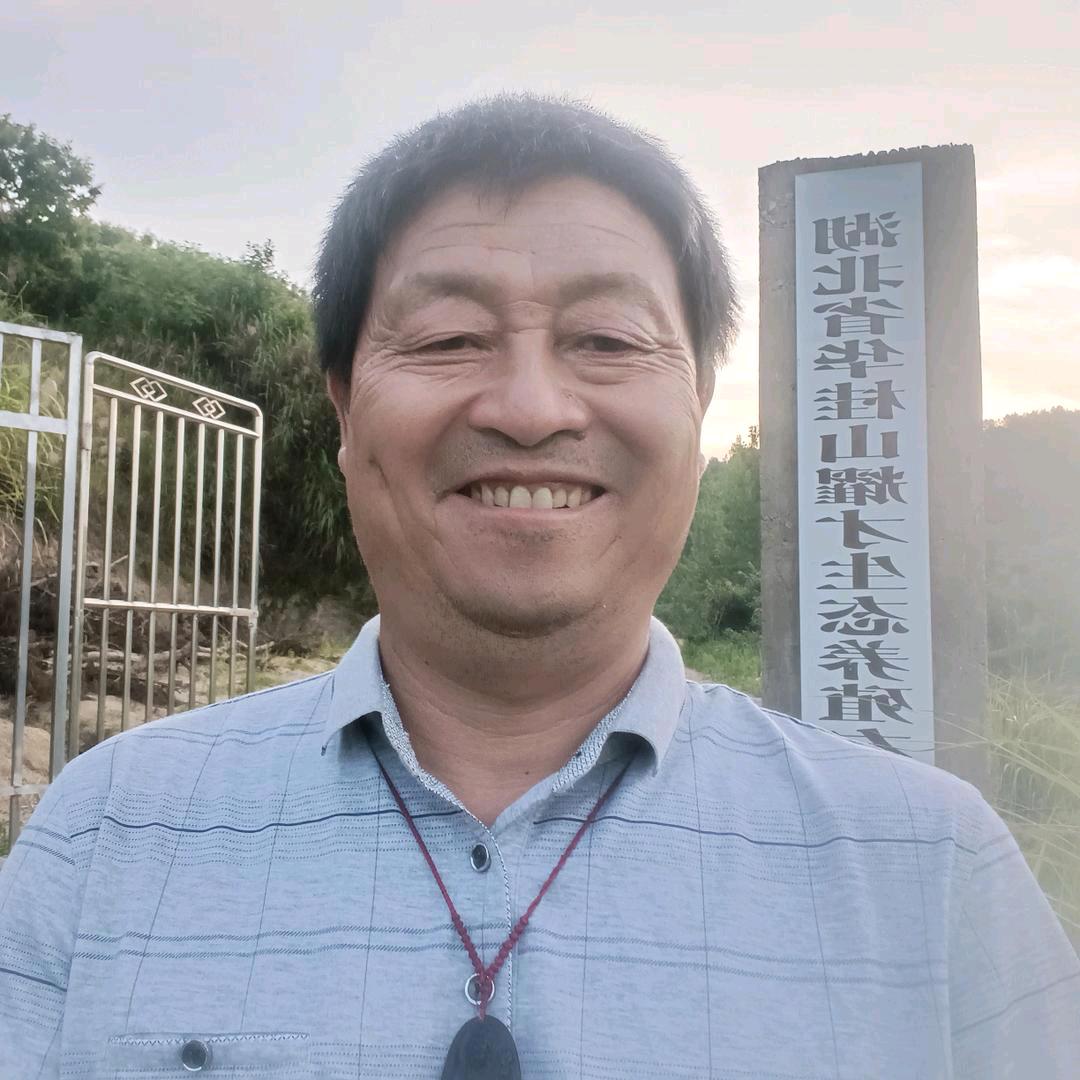 华桂山无抗养猪