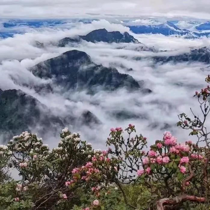 你陪我一程，我念你一生