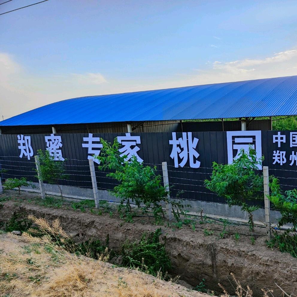 郑蜜葡桃水果基地