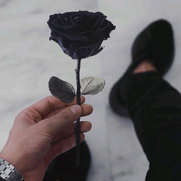 该死的温柔