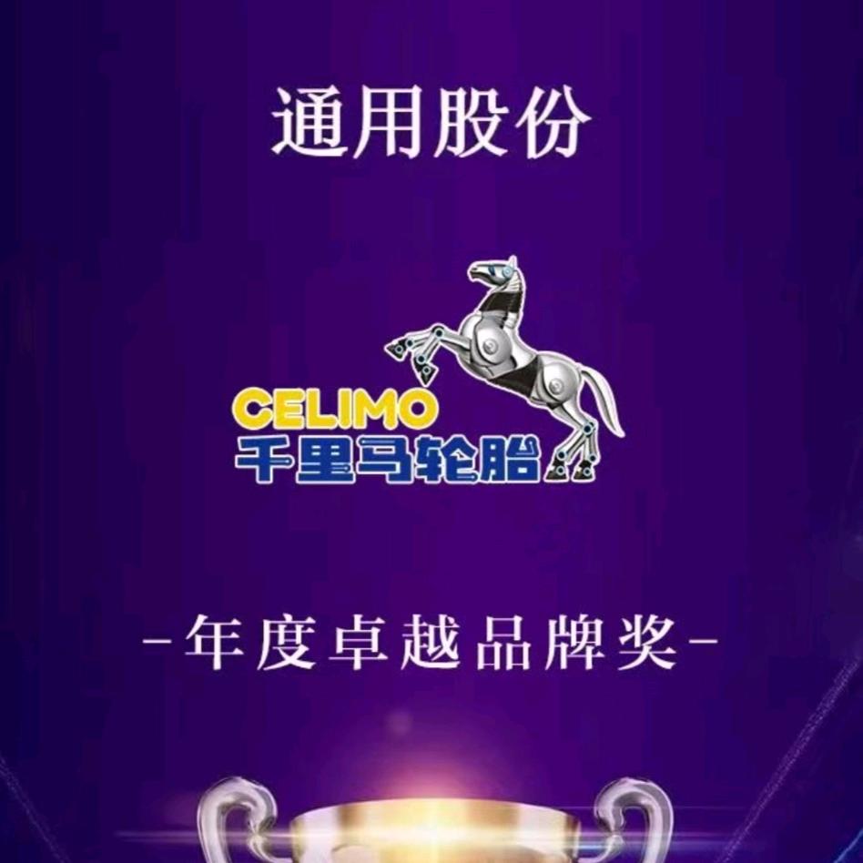 老 二 轮胎