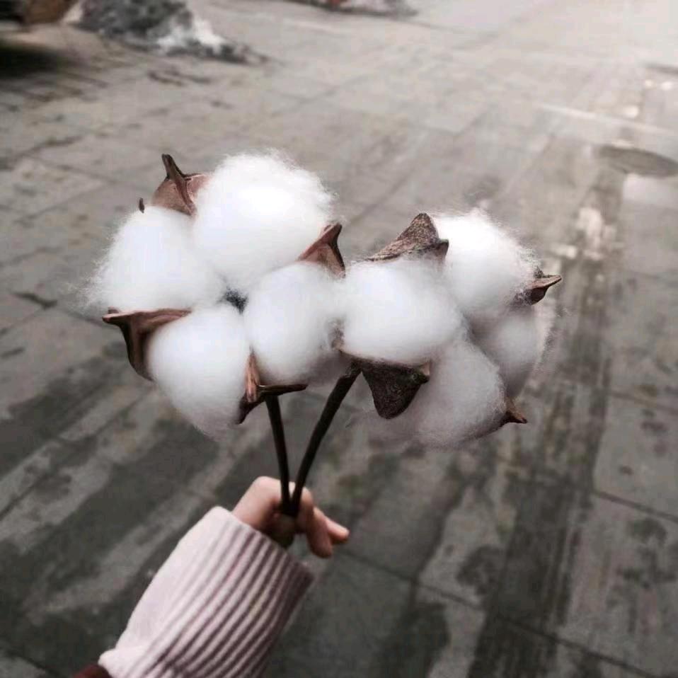 小幸福