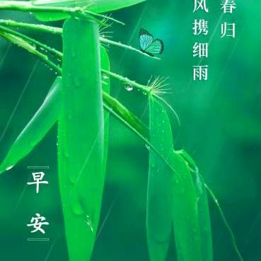 神豪风范的宋俞安头像