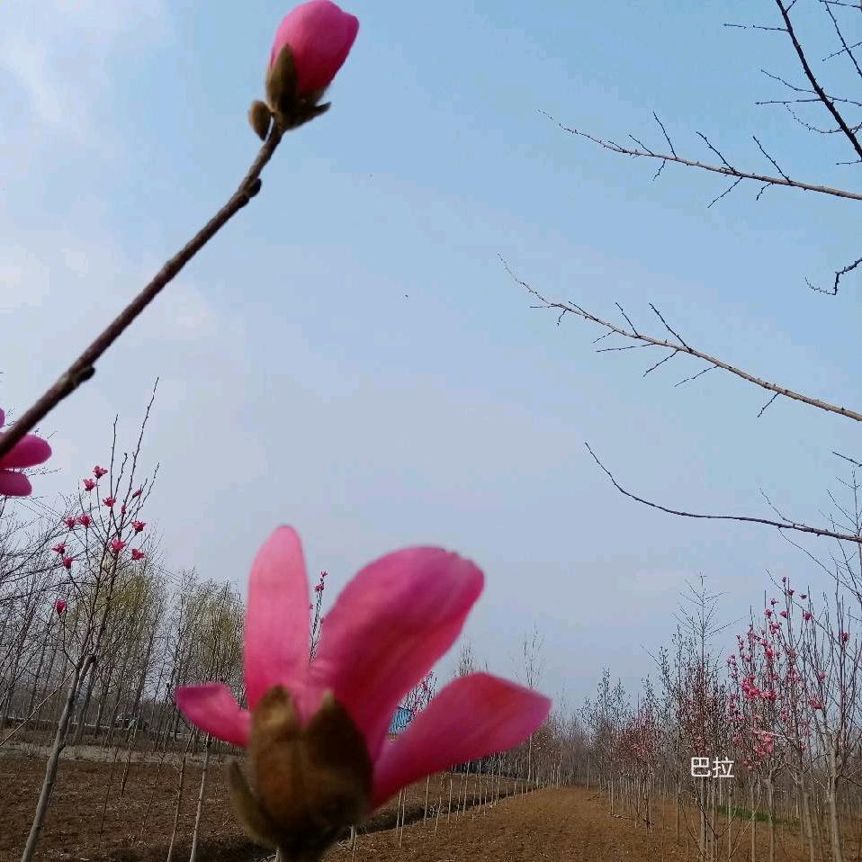 解忧杂货铺