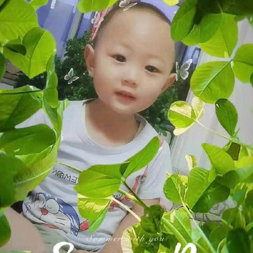 森林