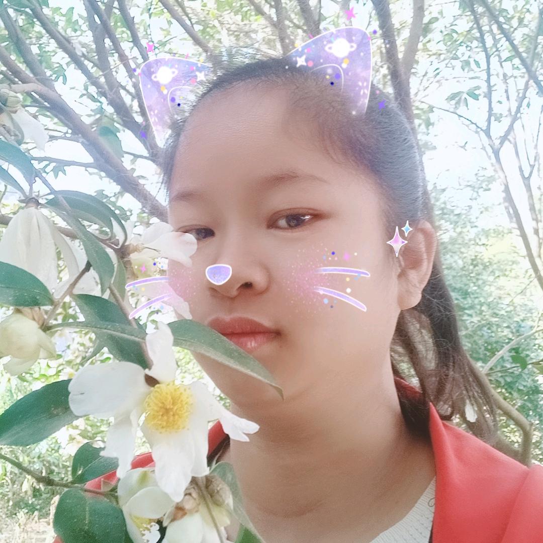 🦋ꦿ໊李🕊᭄ꦿ思🌿ོএ明᭄🌱