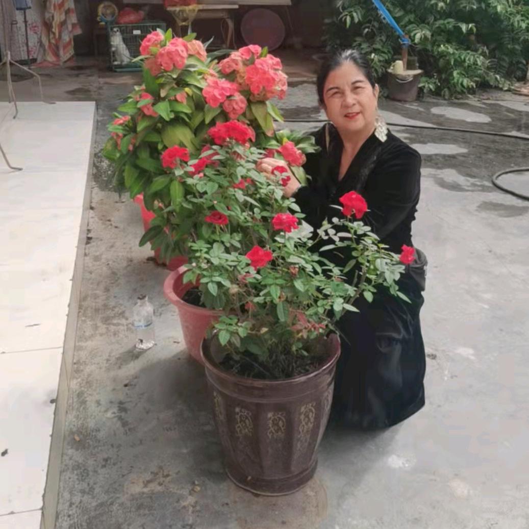 俸氏族