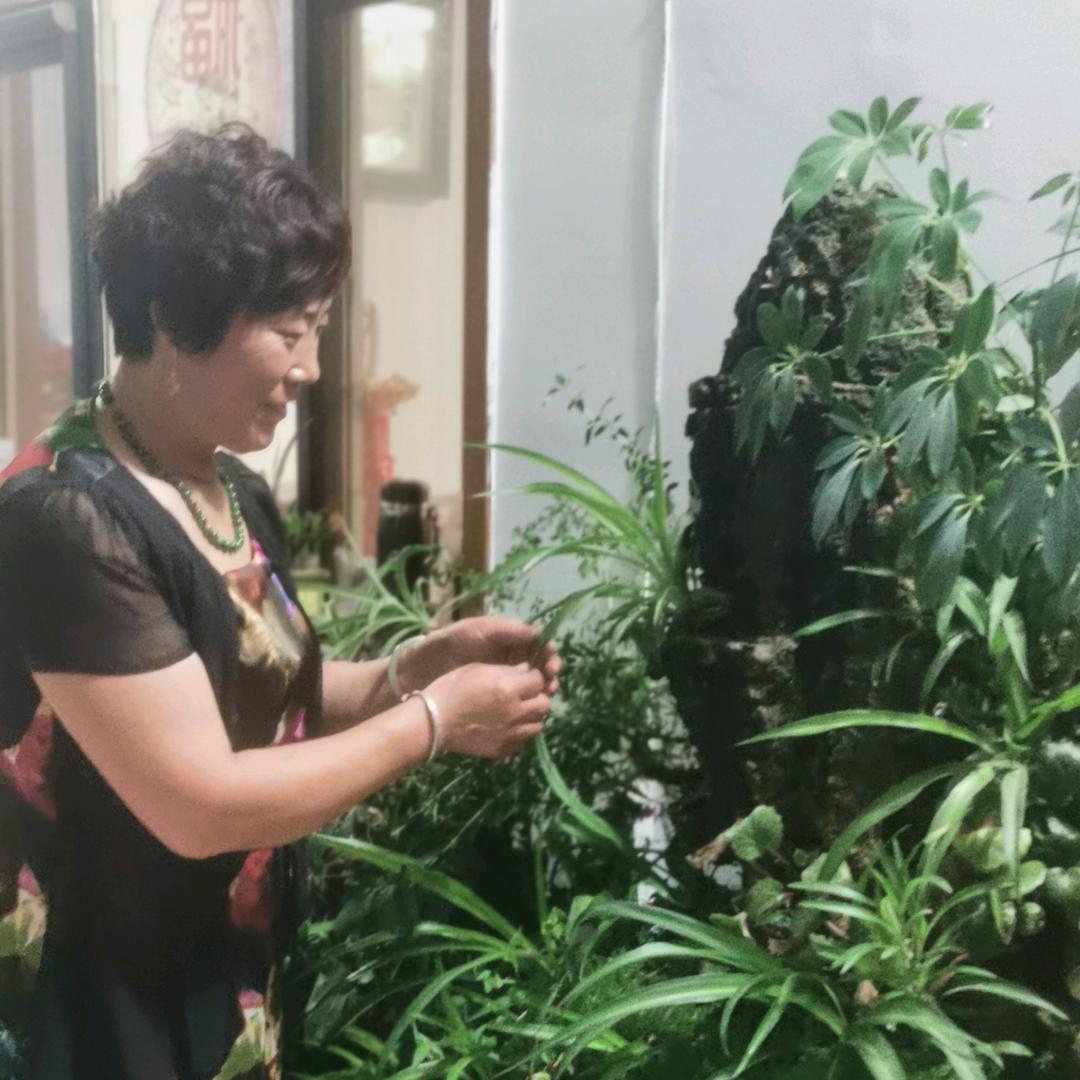 红红火火