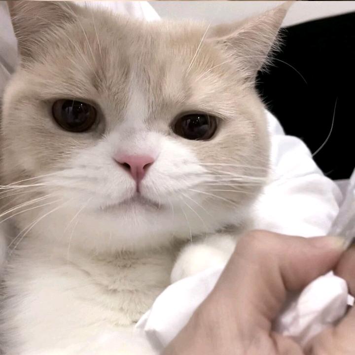 Azei.