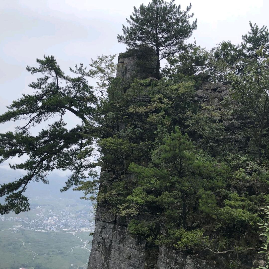 思念-