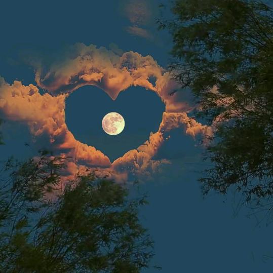 💖晚上的月亮💖
