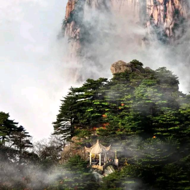 图画