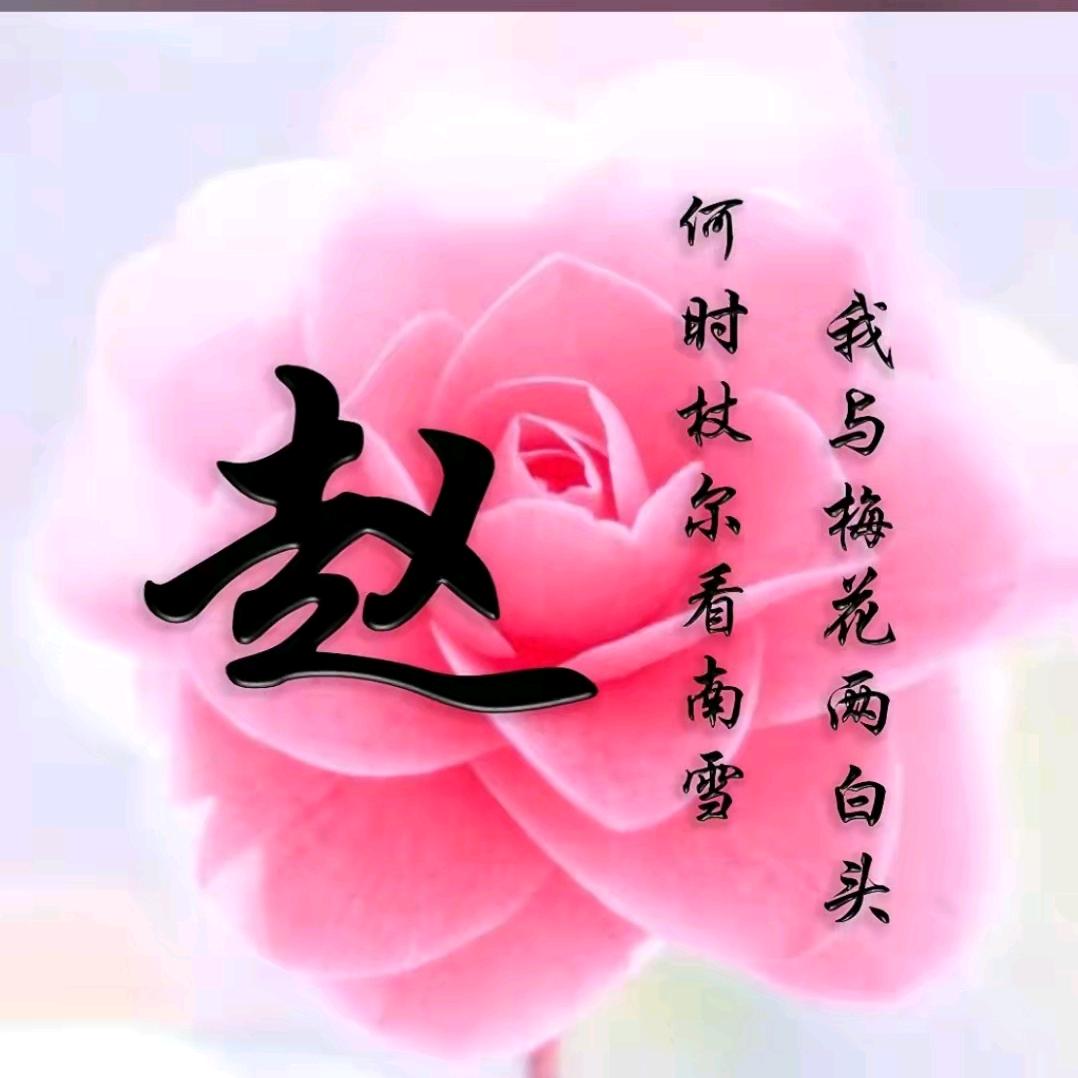 🌙月亮弯弯