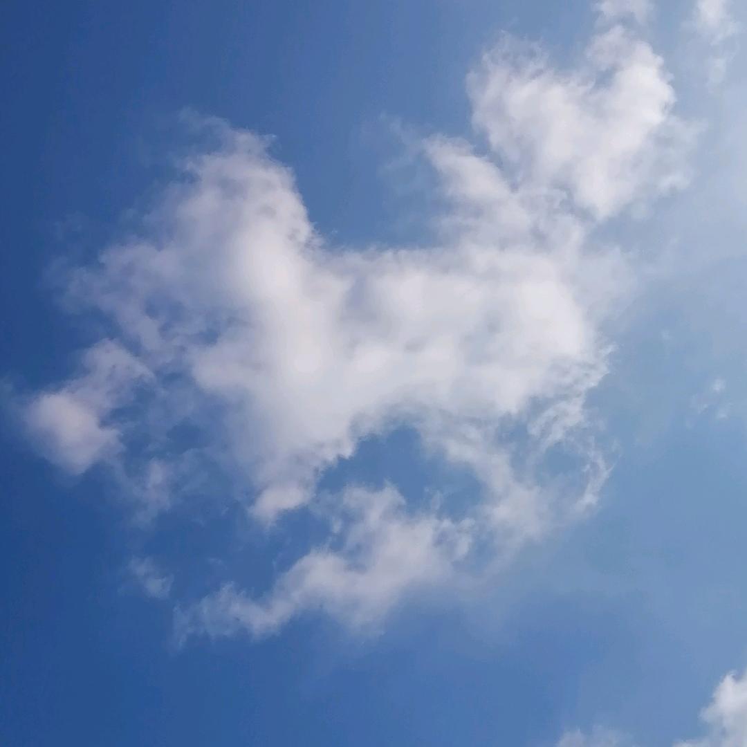 心情
