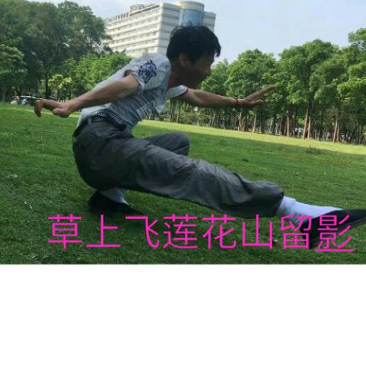 草上飞   FuQingyun