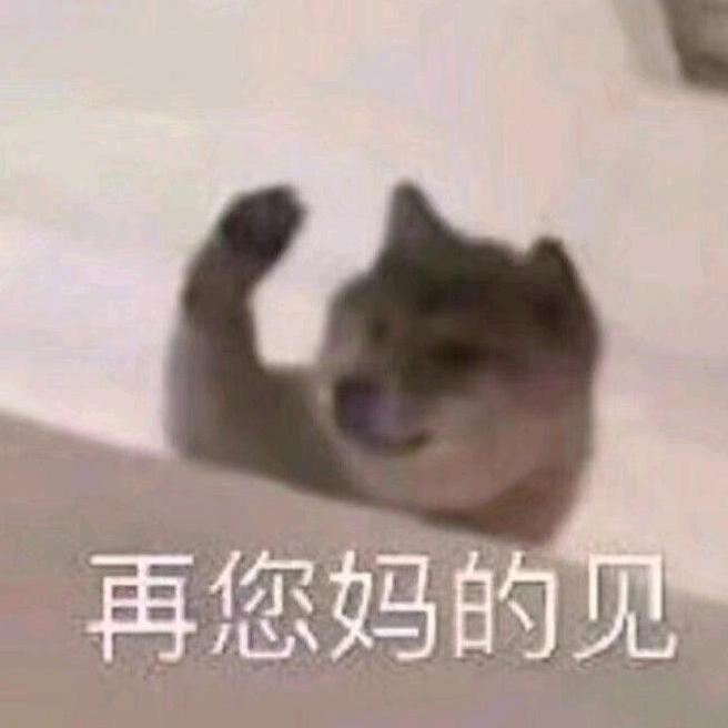 我没礼貌会咬人