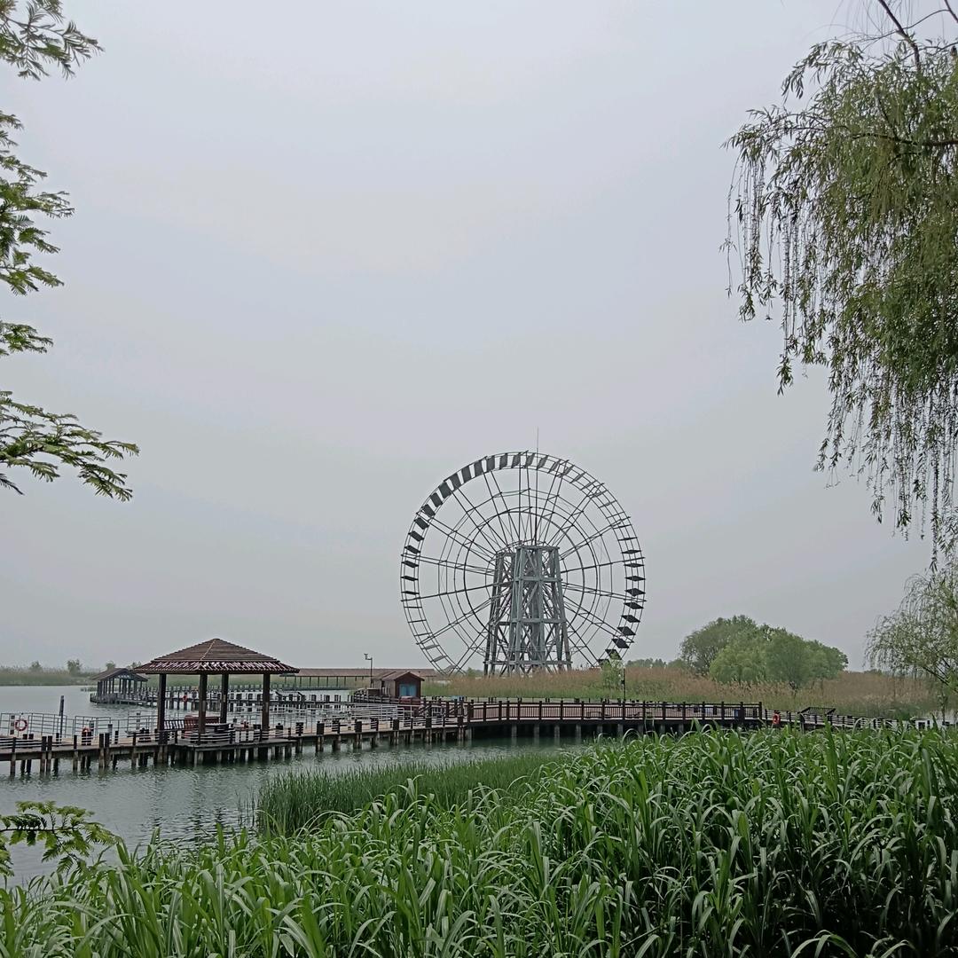 JKK鑫龘䲜